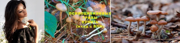 МДПВ Абаза