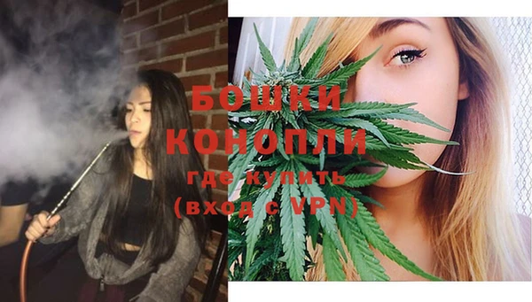 МДПВ Осинники
