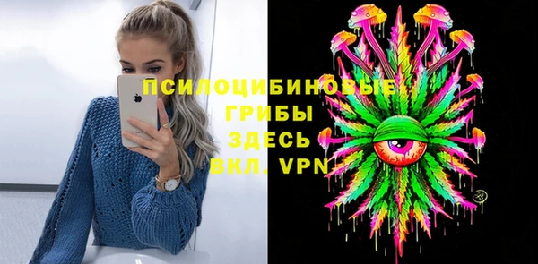 МДПВ Осинники