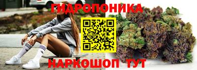 ешки Аргун