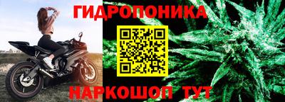 ешки Аргун
