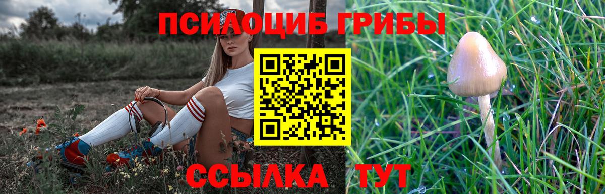 Псилоцибиновые грибы Psilocybine cubensis Белогорск