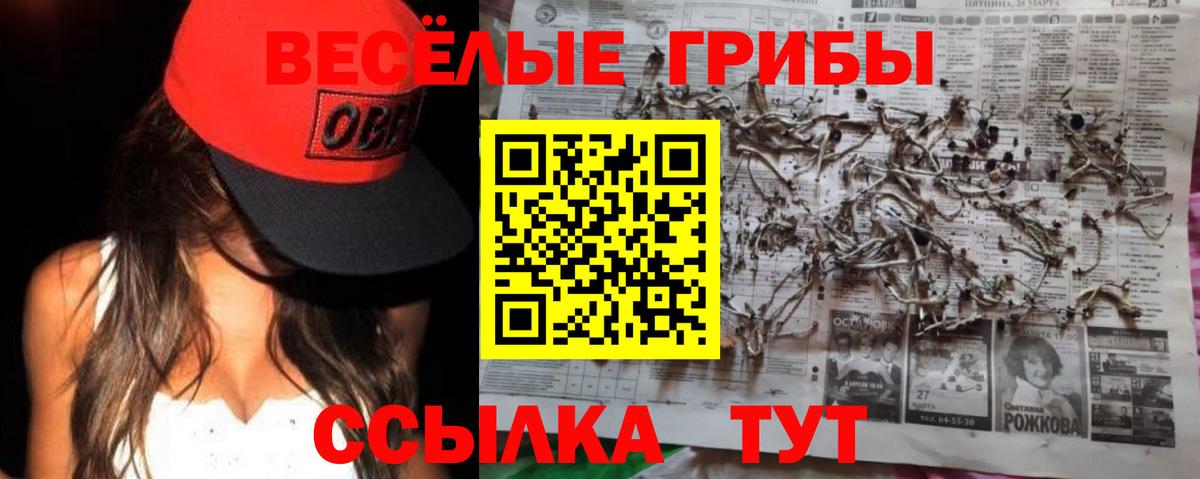 Галлюциногенные грибы MAGIC MUSHROOMS  Белогорск 